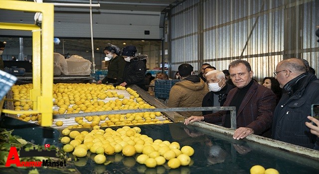 Başkan Seçer ; Limon Dalında Kaldı