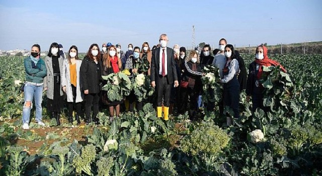 Kadınlar üretiyor, kazanıyor, güçleniyor…