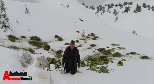 Yaban hayvanları için Abonoz ve Sugözü'ne yem bıraktılar