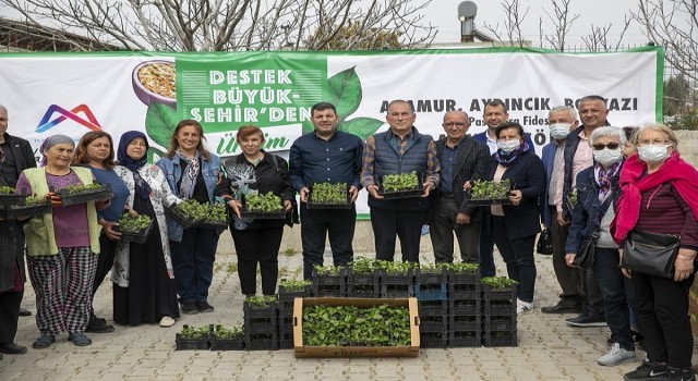 Mersin Büyükşehir, Anamur'da Üreticilere “Passiflora Fidesi” Dağıttı