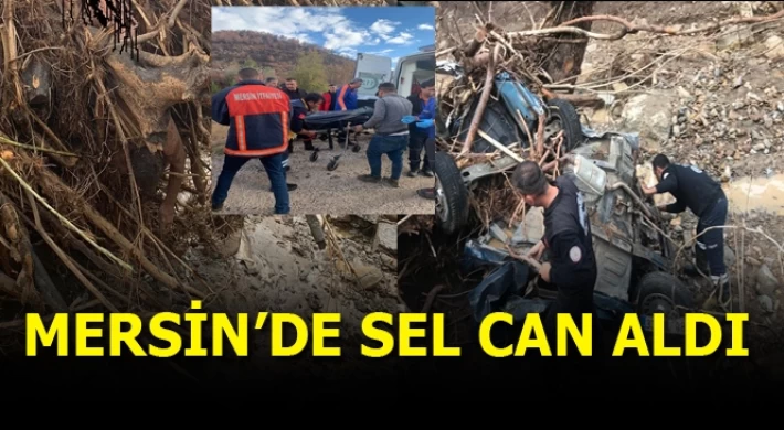 Mersin'de Sel Can Aldı