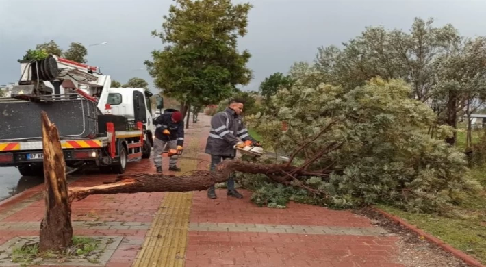 Antalya’yı fırtına vurdu