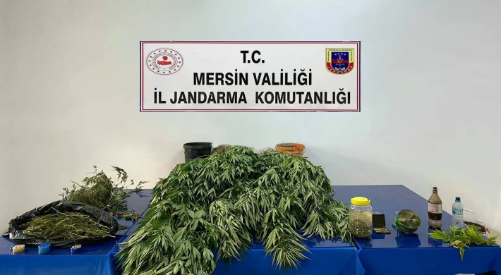 Jandarmadan Uyuşturucu Operasyonu