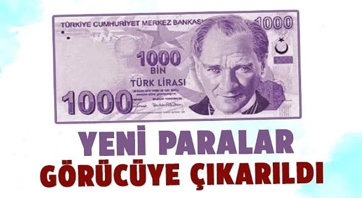 Yeni 500 TL ve 1000 TL Görücüye Çıkarıldı