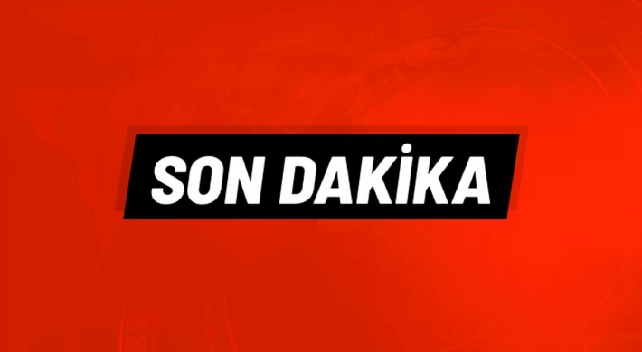 Narin Güran Cinayeti Davasında Karar Açıklandı