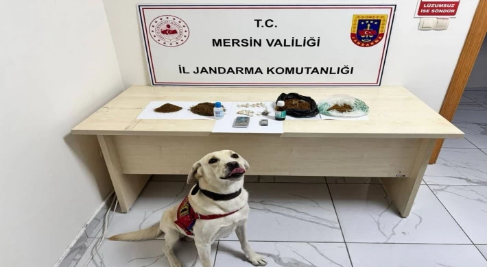 Erdemli'de Jandarmadan Uyuşturucu Operasyonu: 5 Şüpheli Tutuklandı