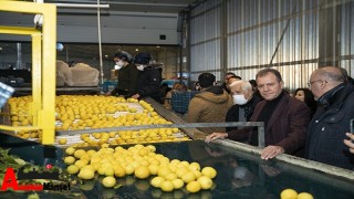 Başkan Seçer ; Limon Dalında Kaldı