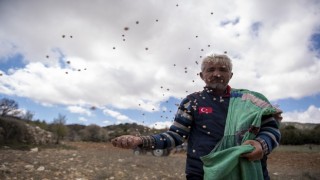 Büyükşehir’le Yerel Tohumlar Korunuyor