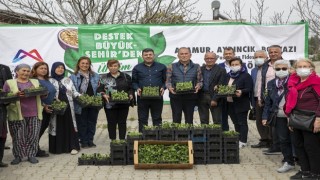 Mersin Büyükşehir, Anamur'da Üreticilere “Passiflora Fidesi” Dağıttı