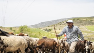 Mersin Büyükşehir’den Yörüklere Göç Azığı