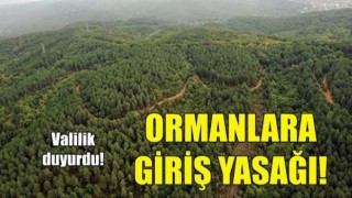 Mersin İl Sınırları İçerisinde Ormanlık Alanlara Girişler Yasaklandı