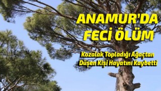 Anamur'da Kozalak Topladığı Ağaçtan Düşen Kişi Hayatını Kaybetti