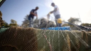 Bozyazı'da Kaçak Avlanan Balıkçılara Ceza Kesildi