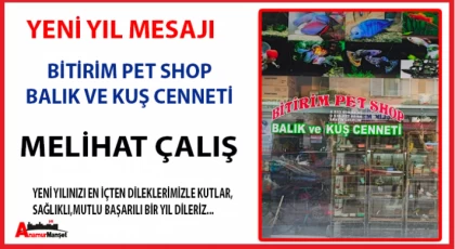 Bitirim Pet Shop - Melihat Çalış : Yeni Yılınız Kutlu Olsun