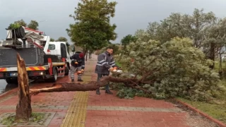 Antalya’yı fırtına vurdu