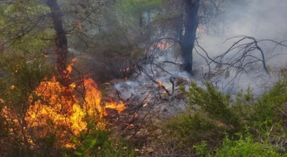 Anamur'da Ormanlık Alana Yıldırım Düşmesinin Ardından Yangın Çıktı