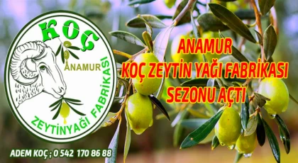 Anamur Koç Zeytin Yağı Fabrikası Sezonu Açtı