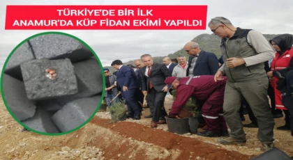 Türkiye'de Bir İlk,Anamur'da Küp Fidan Ekimi Yapıldı