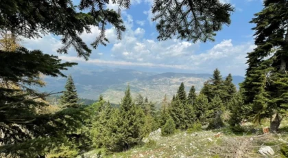 Mersin Genelinde Ormanlık Alanlara Girişler Yasaklandı