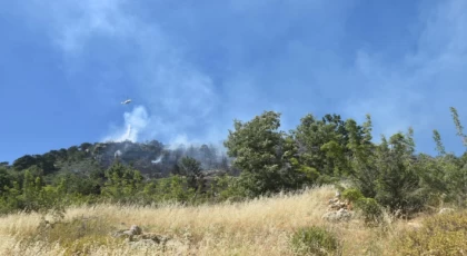 Bozyazı Lenger Mahallesi'nde Çıkan Orman Yangını Kontrol Altına Alındı