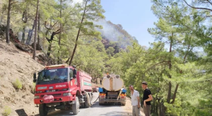 Anamur Kükür Mahallesi’nde Orman Yangını Korkuttu