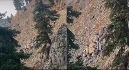 Abanoz Yaylası’nda Otomobil Uçuruma Yuvarlandı: Sürücü Yaralı