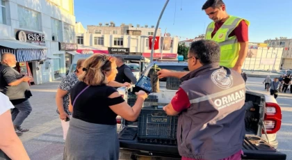 Anamur’da Üretimin ve Bereketin Simgesi Adına Dağ Çayı Fidanı Dağıtıldı