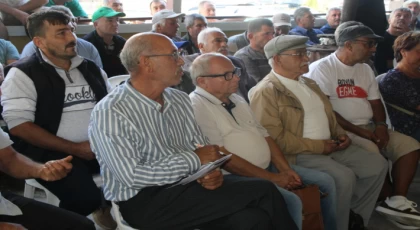 Ziraat Odası Başkanı Ahmet Şeref Gümüş’ten Mermer Ocağı Tepkisi: “Telafisi Mümkün Olmayan Bir Cinayettir”