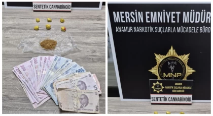 Anamur'da Bonzai İle Yakalanan Şüpheliye Adli Kontrol: Başsavcılık İtiraz Etti